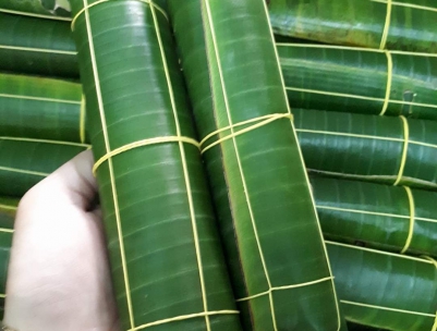 NEM BƯỞI