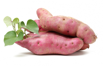 Khám phá các thành phần dinh dưỡng trong khoai lang Khám phá các thành phần dinh dưỡng trong khoai lang