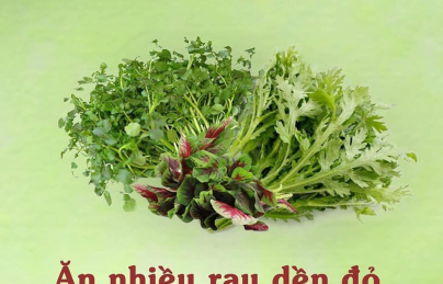 Ăn trái cây khi bụng rỗng Ăn trái cây khi bụng rỗng