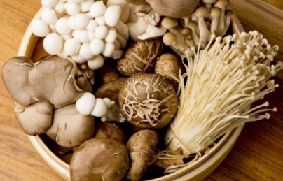 Nấm - một “thần dược” cho não bộ Nấm - một “thần dược” cho não bộ